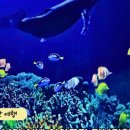 아리울사계절죽집 이미지