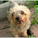 천마산농장 이미지