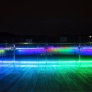 아라마루 이미지