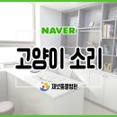 사상동물병원 이미지