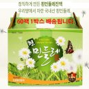 하얀민들레 이미지