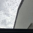 대성카세차장 이미지