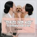 세종헤어 올림픽프라자점 | [청주&세종] 한복화보 스튜디오 애견 동반 '전지적...100% 솔직 대만족 후기 (feat. 애견화보.개인한복...