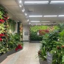 용산숲 입구 이미지