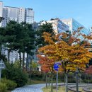 모닝갤러리 | 송파갤러리 위례지구 모닝 산책길 그림 힐링 코스