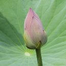 김주남 | 이어도공화국 5