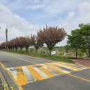 우산천변길 이미지