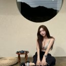 스테이더담 도율 이미지