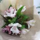 아뜰리에 모이 이미지