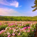 명품농장 이미지