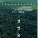 힐링숲터사회적협동조합