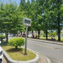 함안문화예술회관 | 함안문화예술회관 가족뮤지컬 넘버블록스 내돈내산찐후기