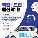 멍문대 애견유치원 네이버블로그