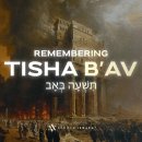 티샤 베아브(Tisha B’Av) 이미지