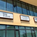 허그포레스트 | 용인 고기리, 티라미수 맛집 | 허그포레스트 내돈내산 후기