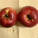 산촌농장(2) 이미지