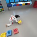 백운태권도장 이미지