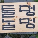 들멍놀멍 이미지