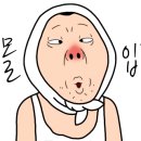 춘천회관닭갈비 이미지