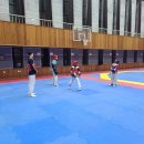 용인대석사태권도 이미지