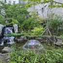 바른길약국 이미지