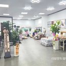 하꾸주코리아 이미지