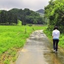 유화목장 이미지