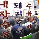 쌍둥이 돼지국밥 이미지