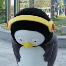 양지순천집