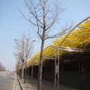 노적봉길 이미지