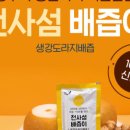 법인천사섬신안