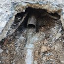 남구-010 이미지