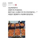 괴산..절임배추.. 예약 받습니다 // 속노랑 황금배추 // 꼬마 귤 1박스 15000원 이미지