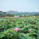 신정호수공원-6 이미지