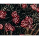 심화학원 이미지