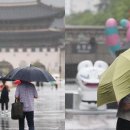 “제주부터 북상”… 2026년 장마 언제? 지역별 시기 총정리 이미지