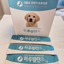 제이원피앤지 | 강아지유산균 하루발란스 노견 급여후기