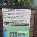이레캠핑장 | 여름에도 강추 공주 이레캠핑장 후기💖