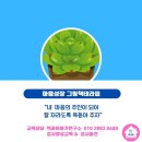 재미있는 그림책 놀이 | 그림책 강연 학부모 연수 그림책리터러시 그림책을 활용하는 학습 연계 그림책 놀이 독서 지도 방법...