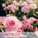 부천-중앙-부천-38 이미지