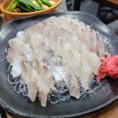 달빛 오징어 광어 화곡점 이미지