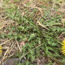 노들나루공원 이미지