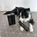 보담펫 | 저자극 강아지 샴푸, 오디에이씨 오버츄어 샴푸로 강아지털·보습 관리 제대로