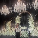 스테이 브라이튼 | w2 | 웨딩베뉴 투어 후기 3 : 메종드아나하 (26년 견적)