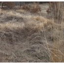 도대1리 마을회관 이미지