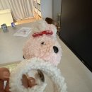 청구 | 한강수병원 유아 찢어진 손가락 봉합 수술 치료 응급실 실비청구 후기