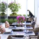 마리포사 이미지