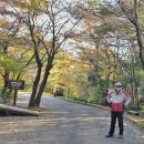 서귀포자연휴양림1 이미지