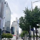 볼 | 청담피부과에서 받은 쥬베룩볼륨 앞볼 전후 후기! 효과및부작용