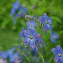 서양화(저녁) 이미지